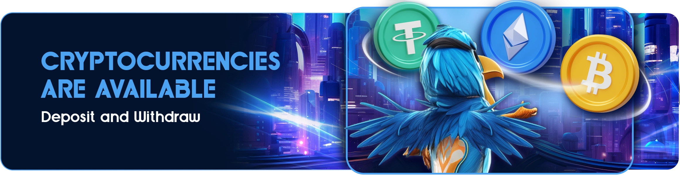 2444-a-17409835081384.webp?v=1770646126